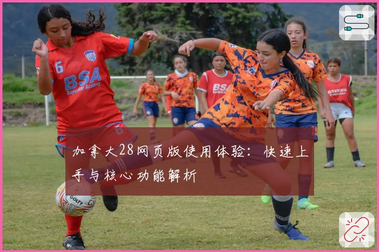 加拿大28网页版使用体验:快速上手与核心功能解析
