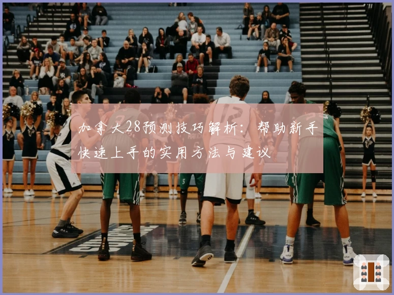 加拿大28预测技巧解析：帮助新手快速上手的实用方法与建议