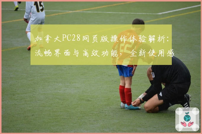 加拿大PC28网页版操作体验解析：流畅界面与高效功能，全新使用感受分享