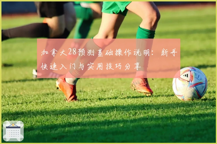 加拿大28预测基础操作说明：新手快速入门与实用技巧分享