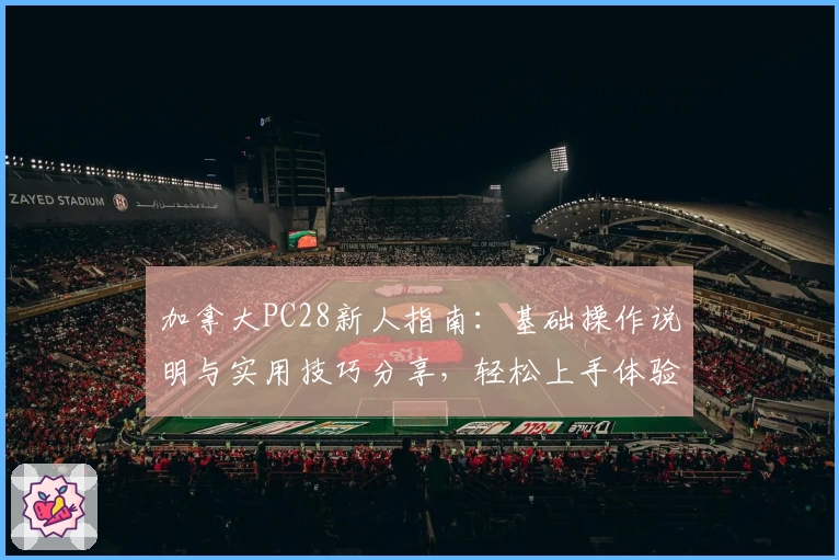 加拿大PC28新人指南：基础操作说明与实用技巧分享，轻松上手体验精彩功能