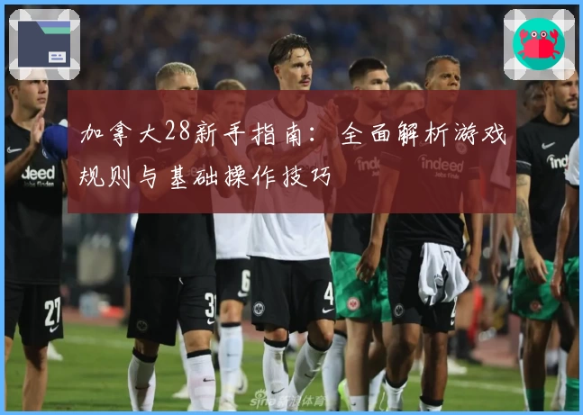 加拿大28新手指南：全面解析游戏规则与基础操作技巧