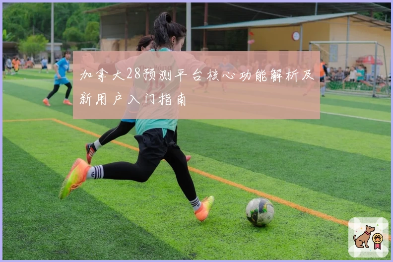 加拿大28预测平台核心功能解析及新用户入门指南