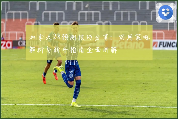 加拿大28预测技巧分享：实用策略解析与新手指南全面讲解