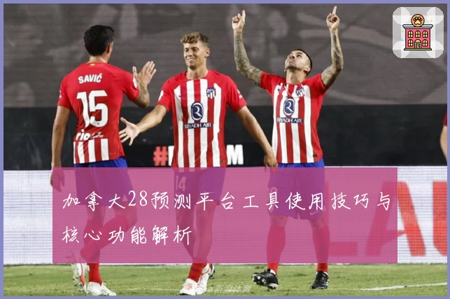 加拿大28预测平台工具使用技巧与核心功能解析